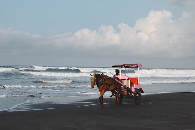 Biaya Parkir Mahal di Pantai Parangtritis